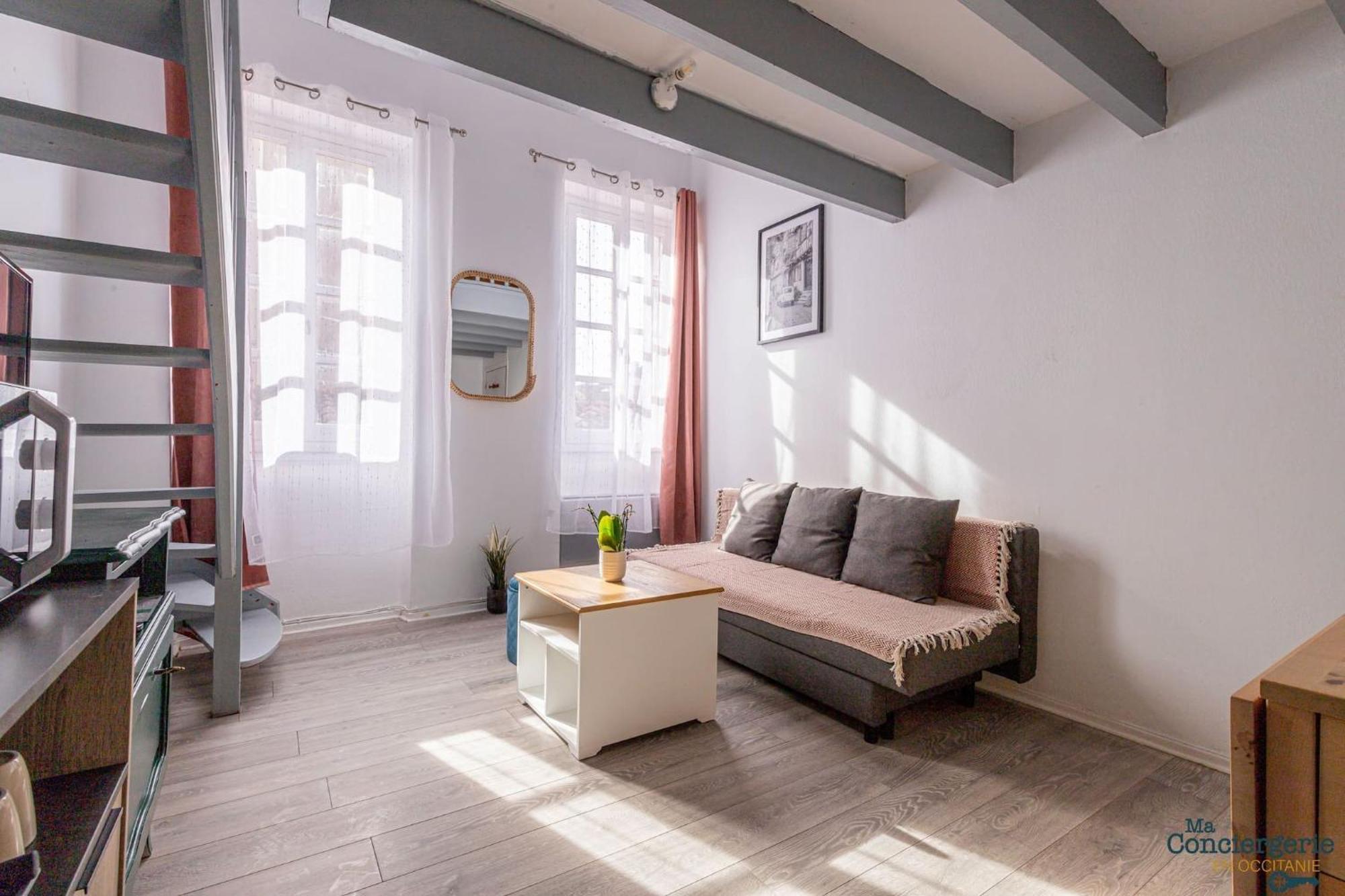 Apartamento Duplex Champetre : Gare, Marche, Hypercentre Toulouse Exterior foto