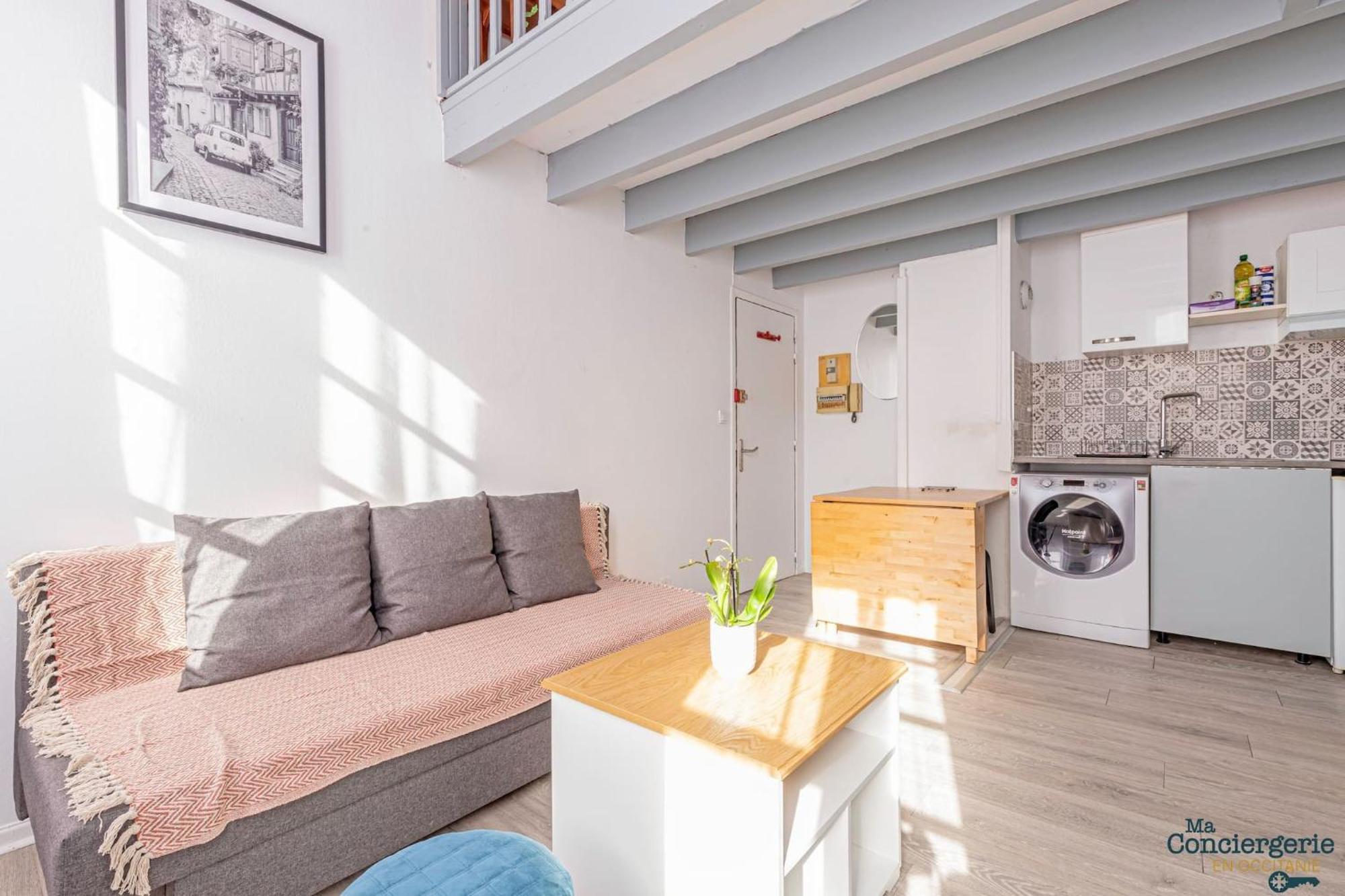 Apartamento Duplex Champetre : Gare, Marche, Hypercentre Toulouse Exterior foto